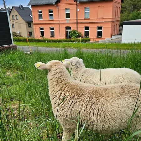 Ost - Alte Schule Sachswitz Apartamento Greiz