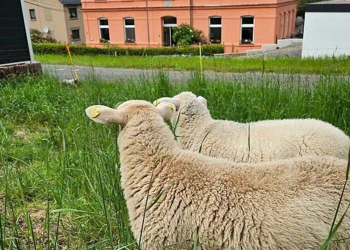 Ost - Alte Schule Sachswitz Apartman Greiz